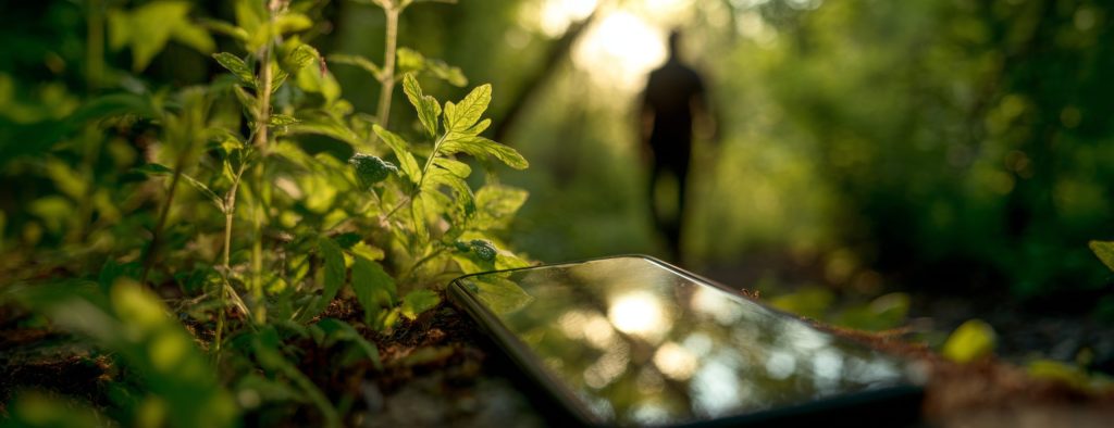 Alles, was wir nicht wissen müssen – und ein paar Dinge, die wir wissen&nbsp;sollten